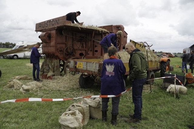 Dorsen op het festival